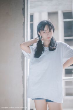 请君一共多少集